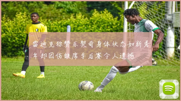 雷迪克称赞东契奇身体状态如新秀年却因伤缺席季后赛令人遗憾