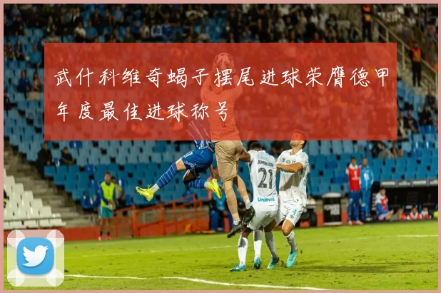 武什科维奇蝎子摆尾进球荣膺德甲年度最佳进球称号